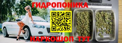 прущий лед Гусев