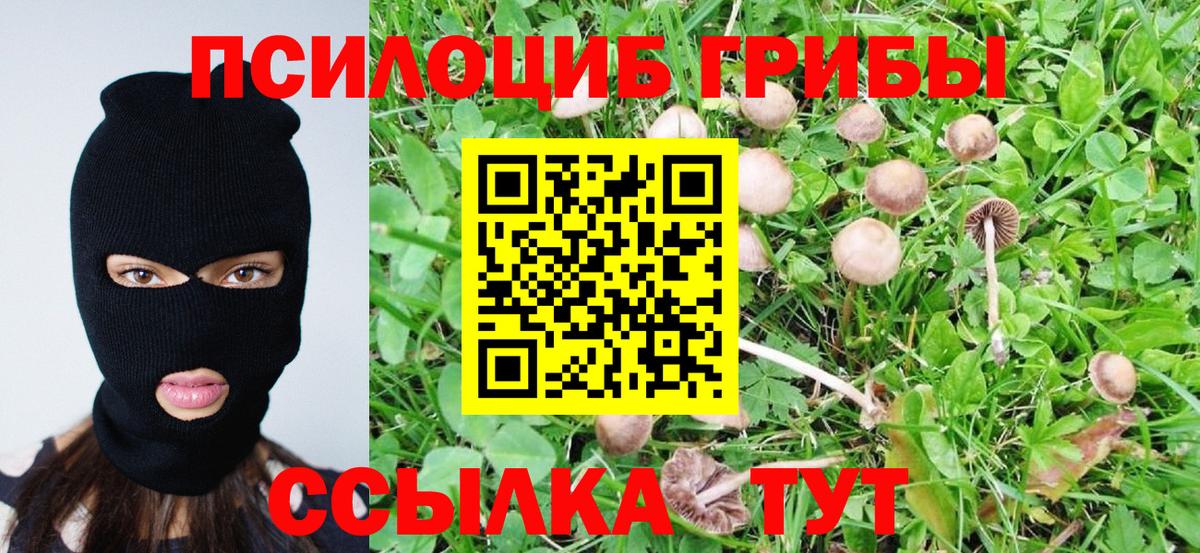 Галлюциногенные грибы ЛСД  Псилоцибиновые грибы мухоморы  Вход с VPN  Киселёвск 