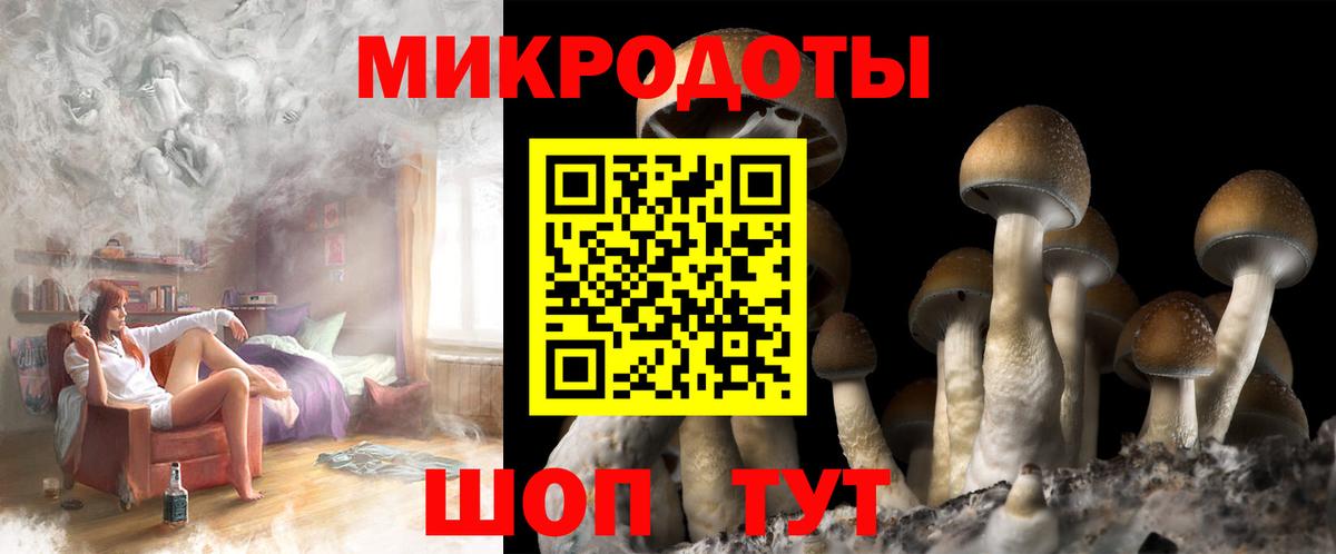 Псилоцибиновые грибы MAGIC MUSHROOMS Киселёвск
